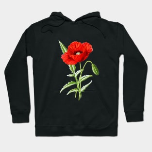 Red Poppy Hoodie